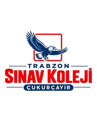Sınav Koleji logosu